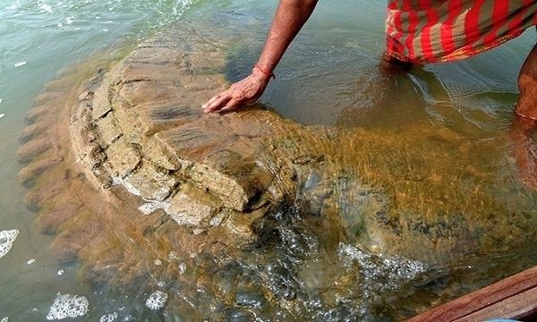 Vết tích ngôi đền cổ niên đại 500 tuổi (ảnh Mirror)