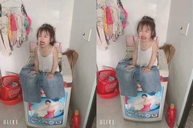 Chui vào máy giặt nhưng không biết cách làm thế nào để thoát ra. Ảnh: Internet