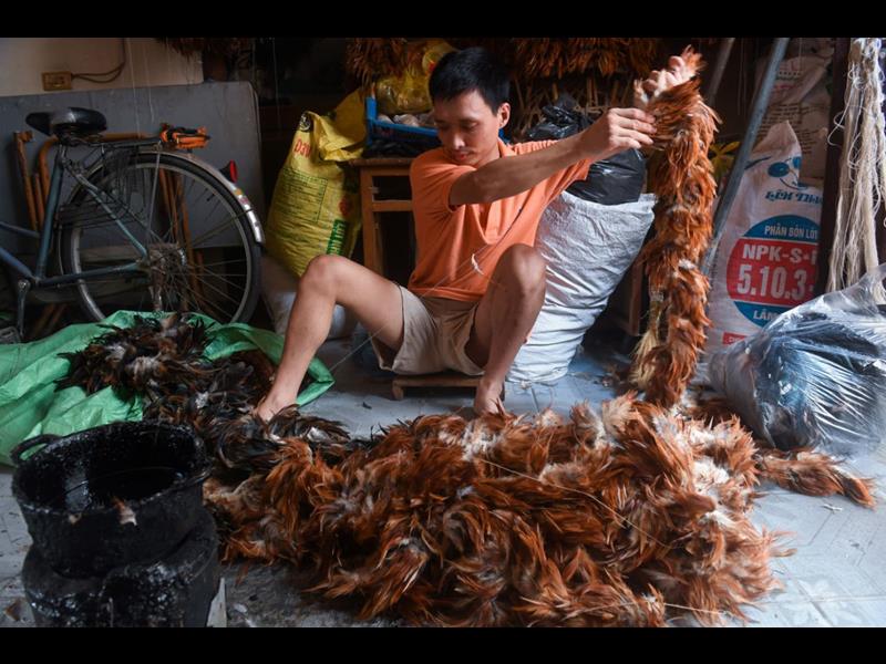 Trung Quốc bỏ 460 tỷ đồng để nhập khẩu hơn 4000 tấn lông gà lông vịt từ Việt Nam  3