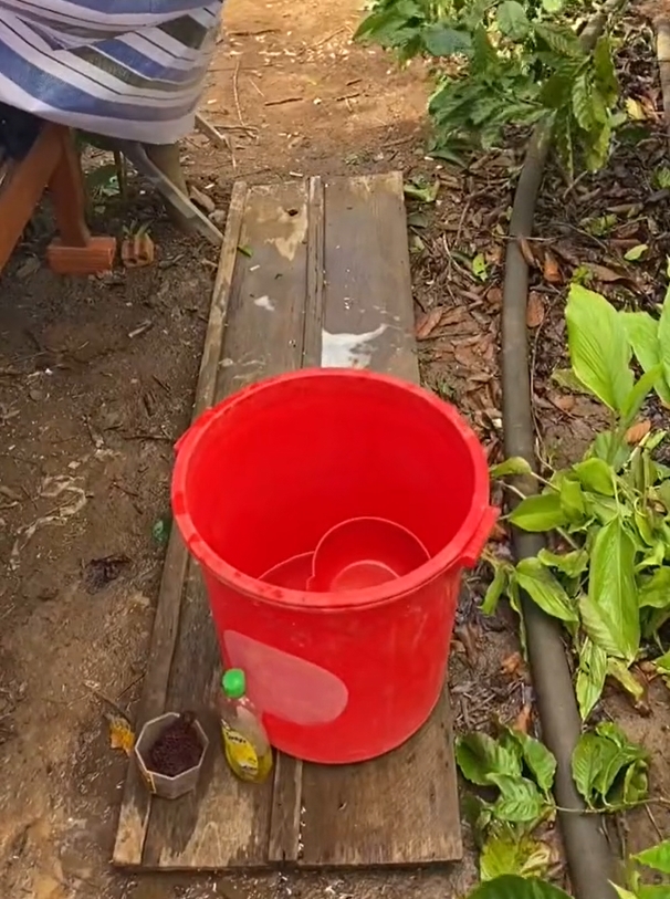 Trở về từ TP.HCM, cô gái được ba mẹ chuẩn bị cho ra vườn tự dựng lều cách ly: 'Hẹn 14 ngày sau gặp lại' 3 Trở về từ TP.HCM, cô gái được ba mẹ chuẩn bị cho ra vườn tự dựng lều cách ly: 'Hẹn 14 ngày sau gặp lại' 3