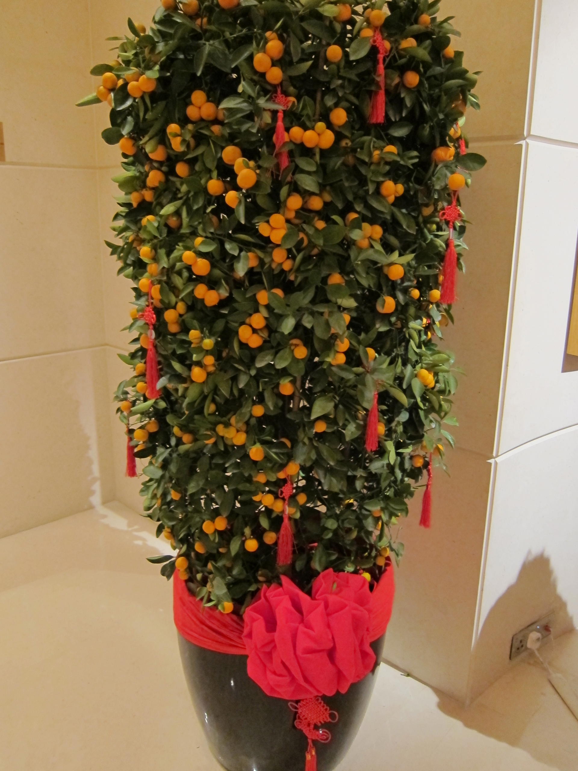 Cách trang trí cây quất ngày Tết để đón trọn tài lộc - Ảnh 1 Cách trang trí cây quất ngày Tết để đón trọn tài lộc - Ảnh 1