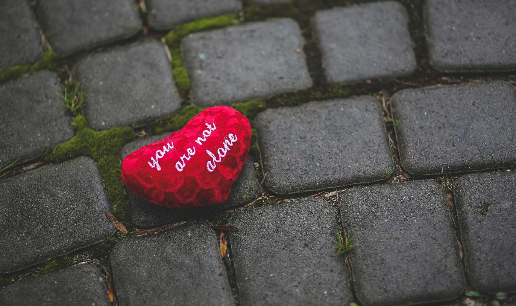 Valentine là ngày để nhân loại tôn vinh tình yêu! Ảnh minh họa: Internet Valentine là ngày để nhân loại tôn vinh tình yêu! Ảnh minh họa: Internet