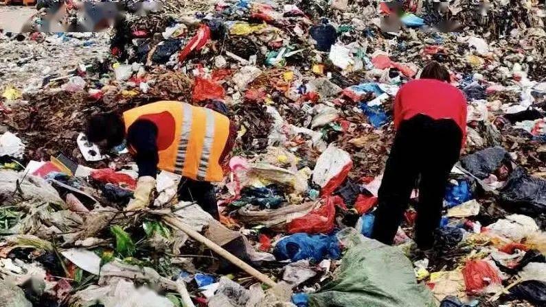 Sáng mùng 1 Tết, bà Trần cùng các nhân viên công ty môi trường đã cùng bới rác để tìm lại số tiền khổng lồ. Ảnh: Sohu