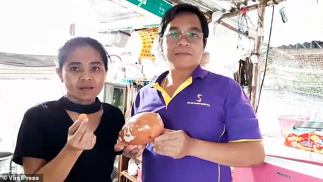 Vợ chồng anh Monthian Jansuk bắt được viên ngọc trai Melo hiếm khi mua ốc về luộc ăn. Ảnh: Dailymail