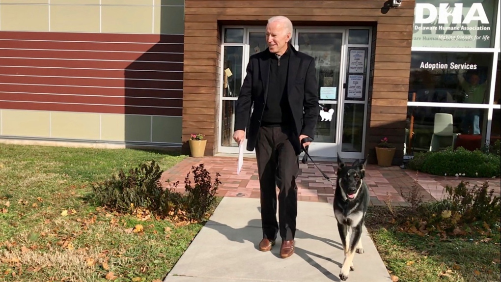 Cả 2 chú chó của Tổng thống Biden đều chuyển vào Nhà Trắng sau khi ông dọn đến không lâu. Ảnh: Internet