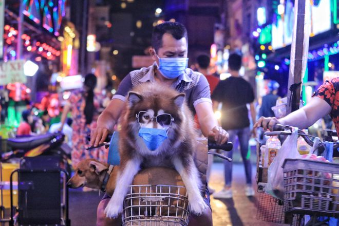 Một người dân cho thú cưng lên phố Bùi Viện. Ảnh: Thanh niên