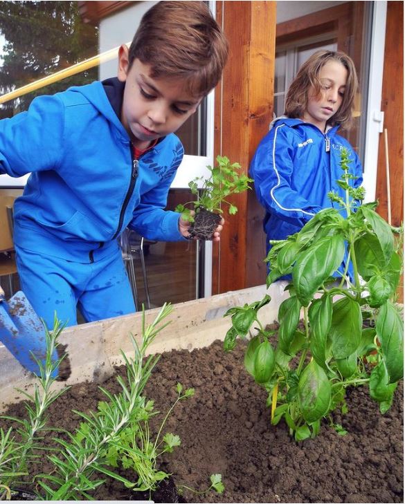 Học sinh trong trường tham gia trồng cây. Nhà trường quan niệm những điều quan trọng cần được dạy từ khi trẻ còn nhỏ. Ảnh: Instagram