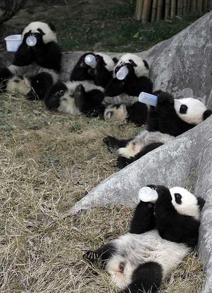 Giờ ăn tối của các bé. Giờ ăn tối của các bé.