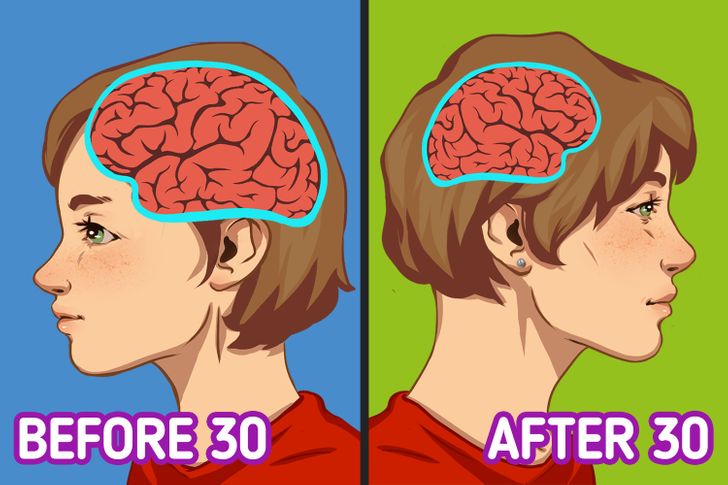 Sau 30 tuổi: Não nhỏ lại và bạn sẽ cảm thấy hạnh phúc hơn - Ảnh 1 Sau 30 tuổi: Não nhỏ lại và bạn sẽ cảm thấy hạnh phúc hơn - Ảnh 1