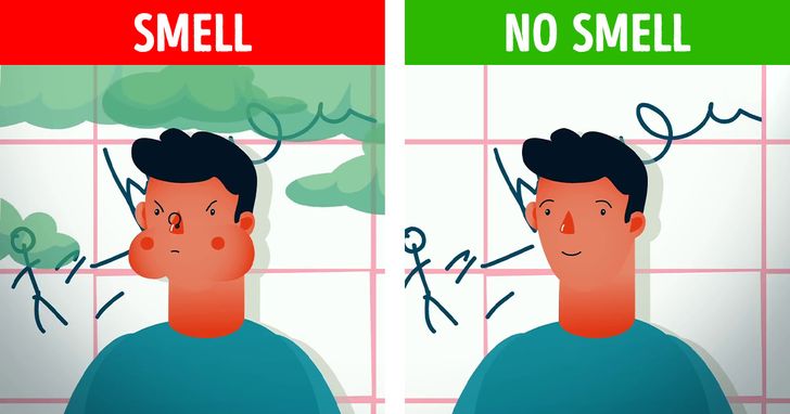 10 lý do khiến cửa nhà vệ sinh công cộng thường không kín chạm sàn