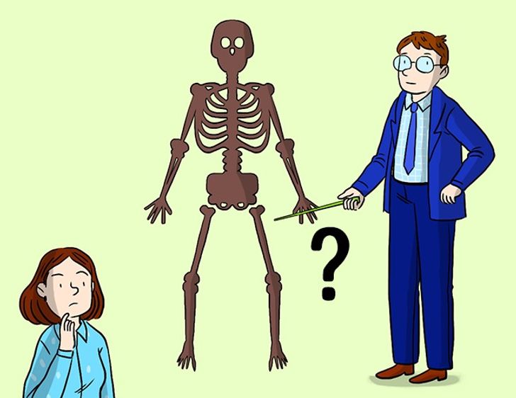7 câu đố tập thể dục cho não có thể khiến học sinh giỏi 'bó tay' 7 câu đố tập thể dục cho não có thể khiến học sinh giỏi 'bó tay'