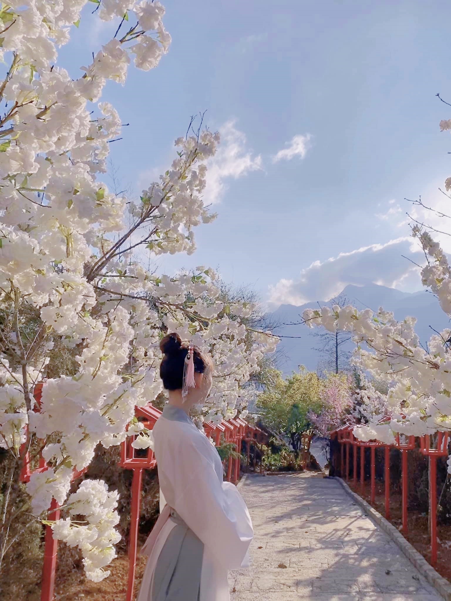 Những cảnh quan khác được dựng lên để du khách chụp hình. Ảnh: Facebook