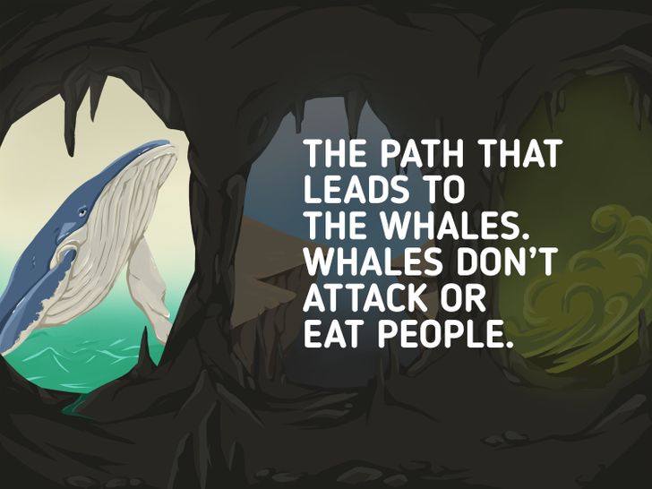 Dường dẫn đến chỗ cá voi là an toàn nhất bởi nó không tấn công người!