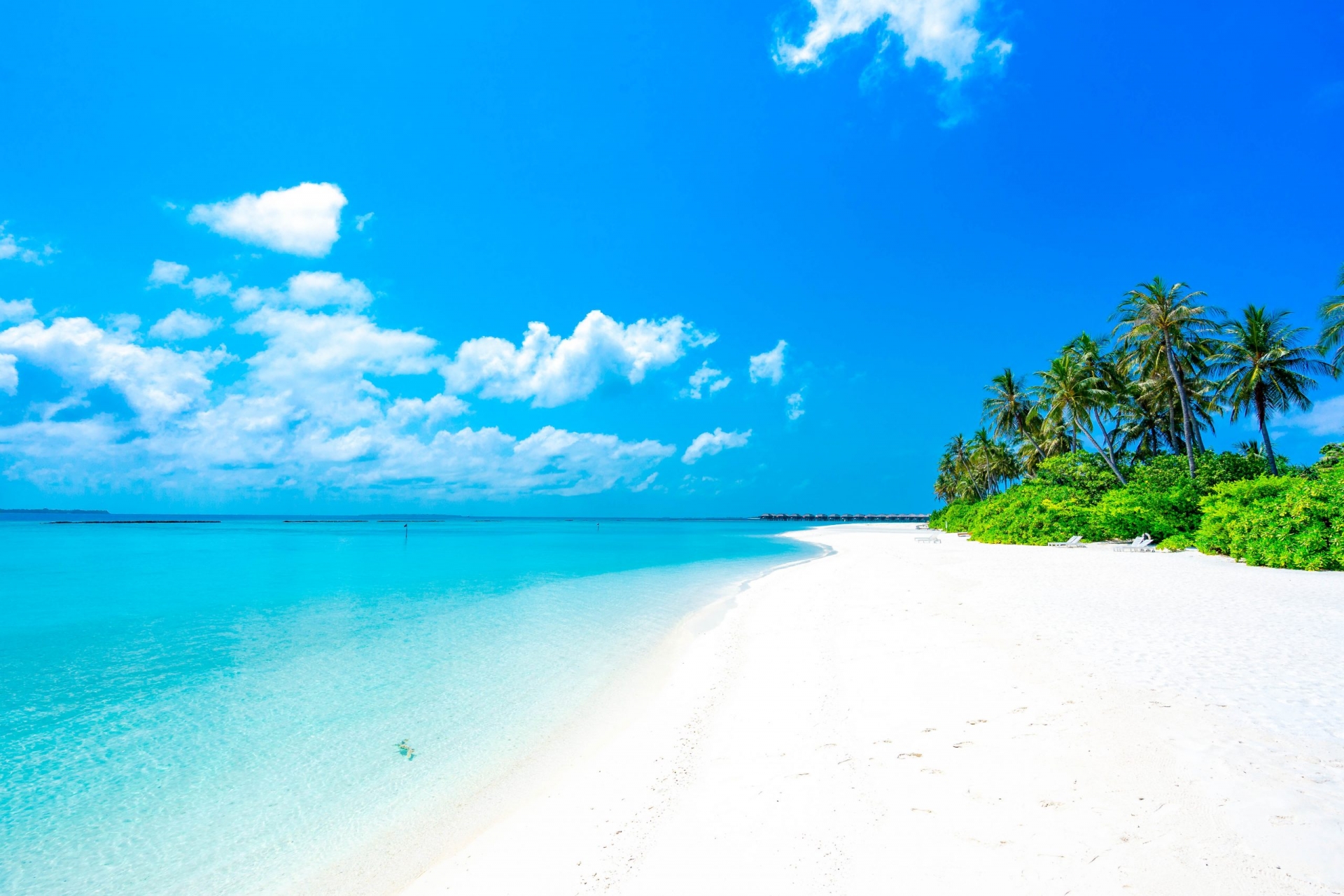 Làm cách nào để ăn 1 quả táo trong 2 năm mà không bị sao? - Ảnh 1