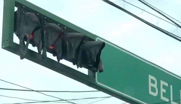 Những bức ảnh chứng minh mùa hè không buông tha cho bất kỳ ai