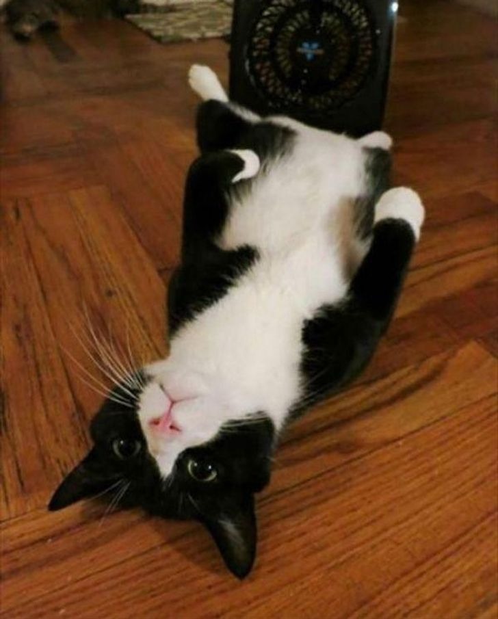 Những bức ảnh chứng minh mùa hè không buông tha cho bất kỳ ai