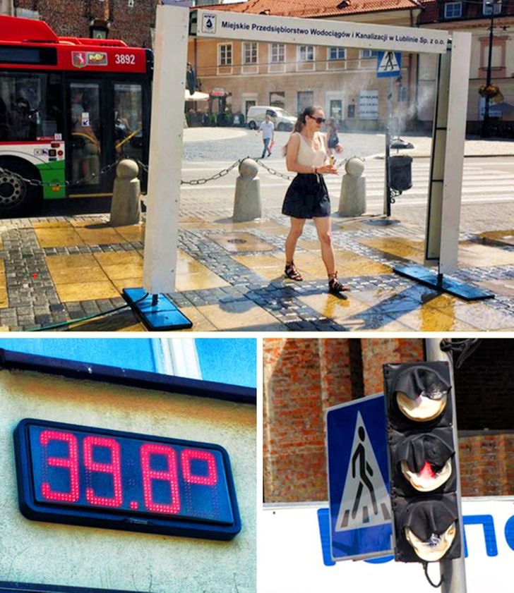 Những bức ảnh chứng minh mùa hè không buông tha cho bất kỳ ai