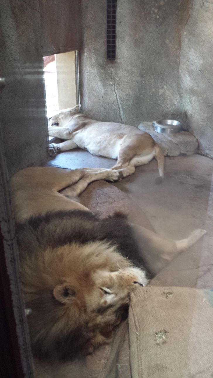 Những bức ảnh chứng minh mùa hè không buông tha cho bất kỳ ai