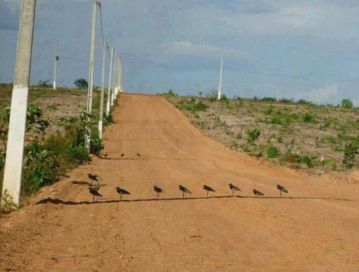 Những bức ảnh chứng minh mùa hè không buông tha cho bất kỳ ai