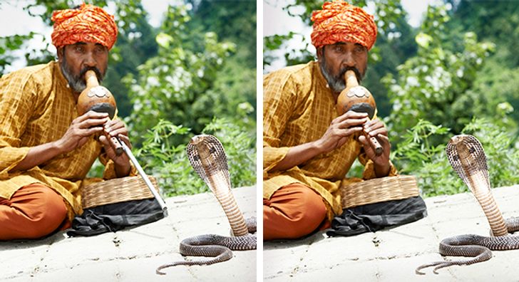 Tìm điểm khác biệt giữa 2 bức tranh