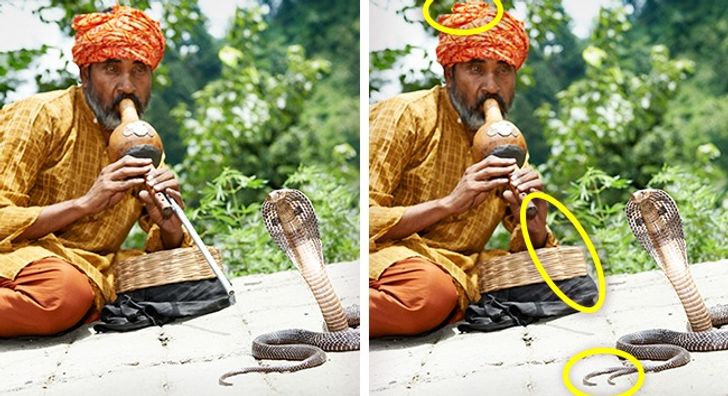 Tìm điểm khác biệt giữa 2 bức tranh