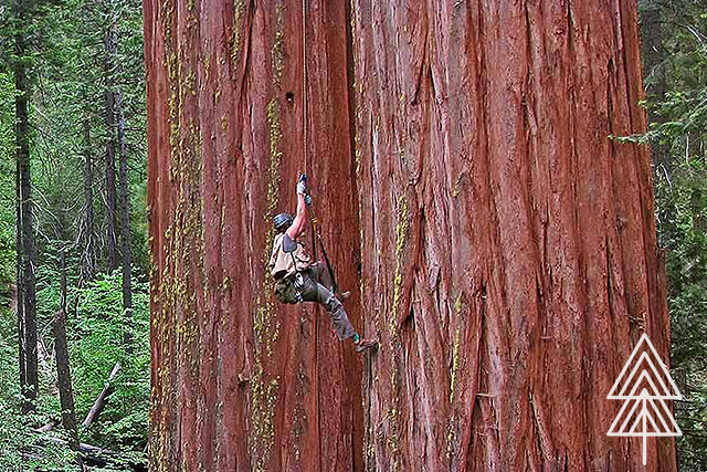 20 trải nghiệm những tín đồ du lịch thứ thiệt phải thử một lần trong đời (P1)