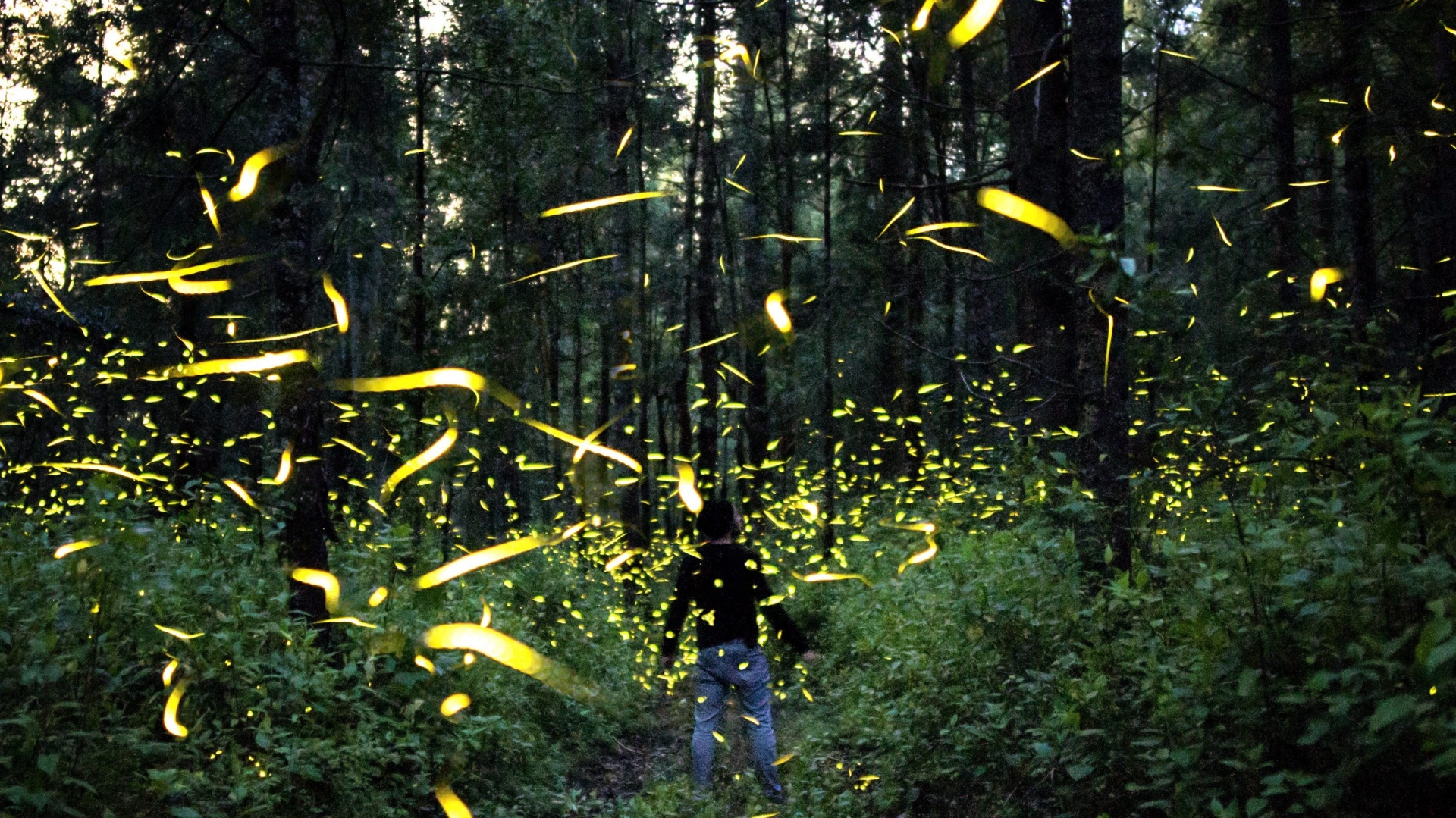 20 trải nghiệm những tín đồ du lịch thứ thiệt phải thử một lần trong đời (P2)