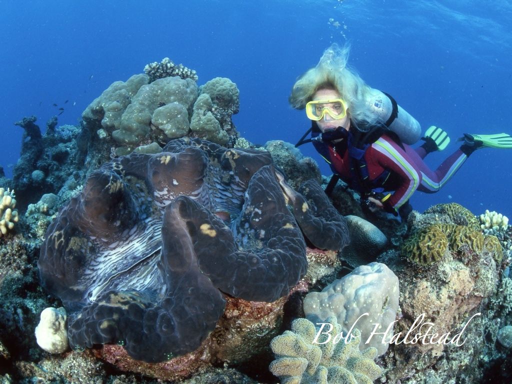 20 trải nghiệm những tín đồ du lịch thứ thiệt phải thử một lần trong đời (P2)