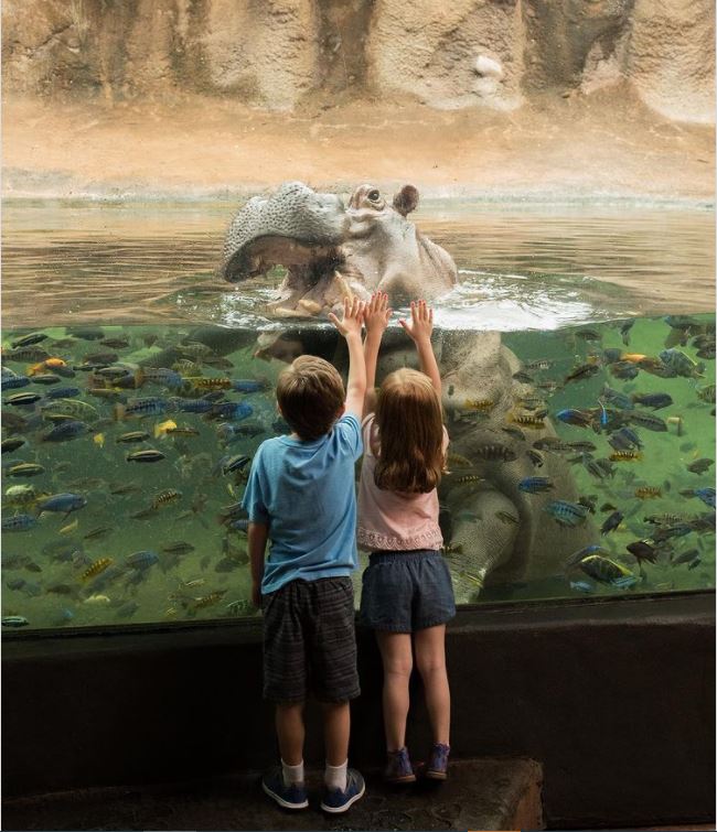 14 ngôi trường kỳ lạ nhất thế giới