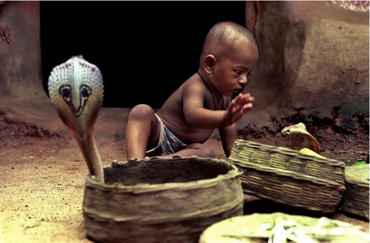 14 ngôi trường kỳ lạ nhất thế giới