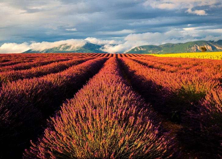 16 địa điểm khiến tim bạn đập rộn ràng khi được tận mắt chiêm ngưỡng