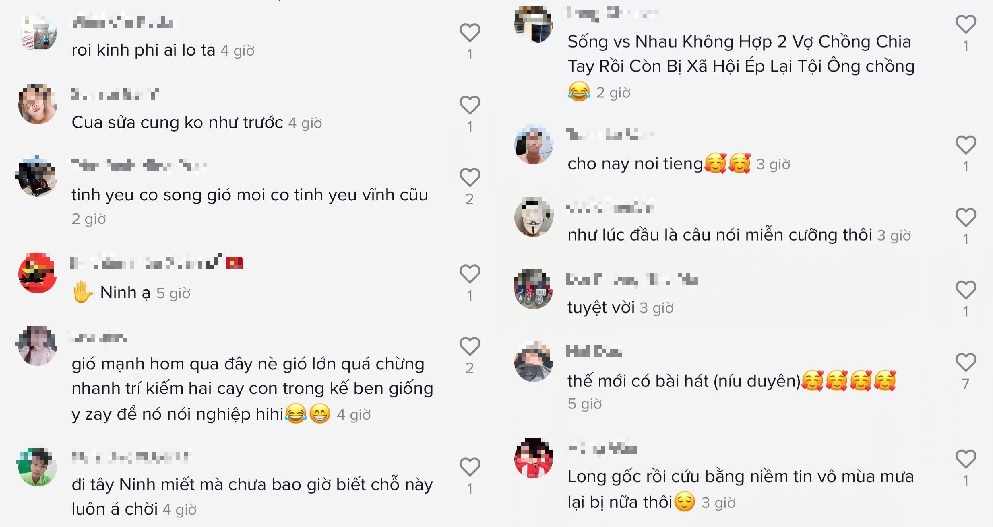 Thốt nốt tình yêu Tây Ninh muốn 'ly hôn', người dân nhất quyết không cho