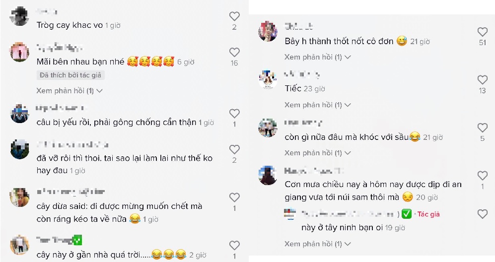 Ý kiến của cư dân mạng khi thốt nốt tình yêu được cứu. Ảnh chụp màn hình