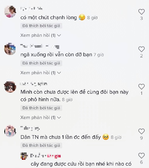 Thốt nốt tình yêu Tây Ninh muốn 'ly hôn', người dân nhất quyết không cho