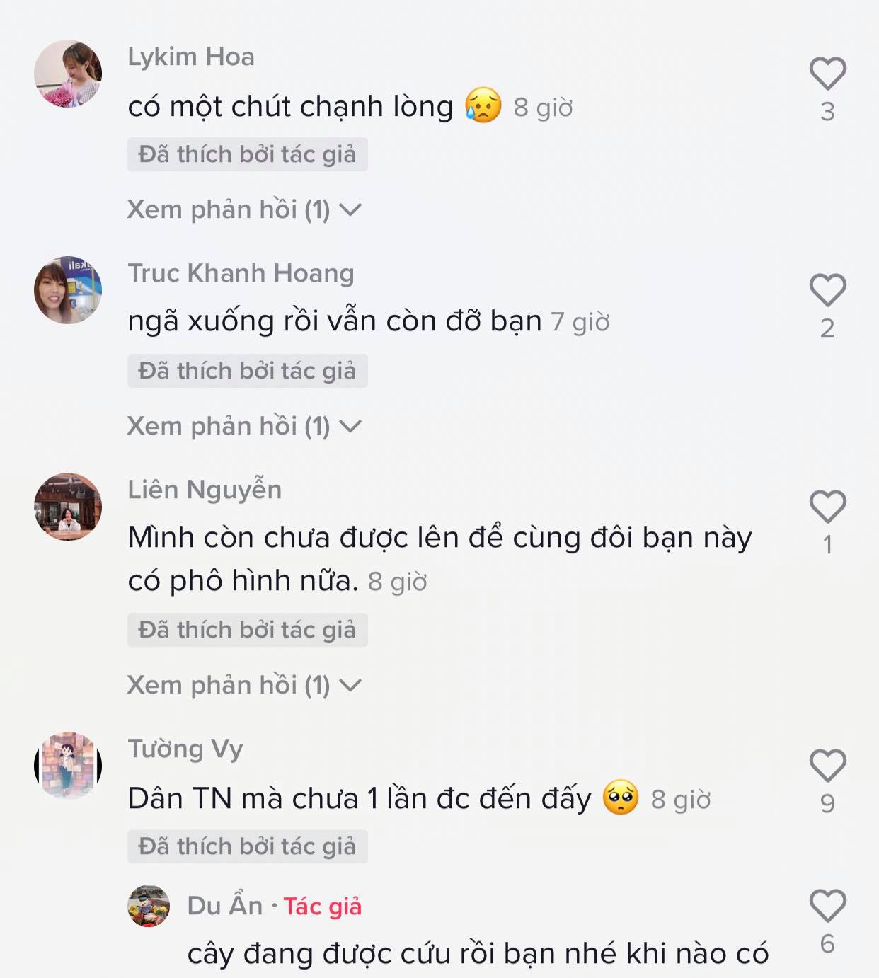 Thốt nốt tình yêu Tây Ninh muốn 'ly hôn', người dân nhất quyết không cho