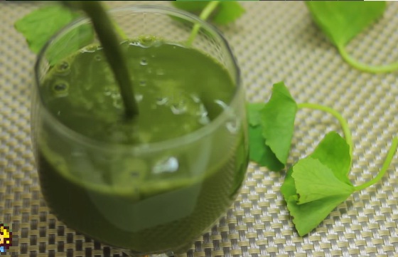 Cuối cùng, chế phần hỗn hợp nước rau má, đậu xanh và sữa tươi vừa xay xong ra cốc. Bỏ thêm đá để có được thức uống mát lạnh.