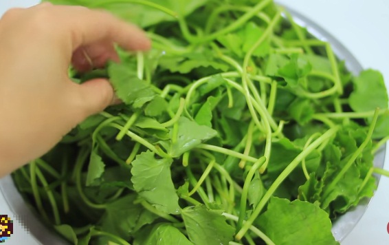 Nguyên liệu không thể thiếu để làm sinh tố đậu xanh rau má chính là rau má. Mua rau má về rửa sạch, loại bỏ lá héo, úa, rễ bẩn.