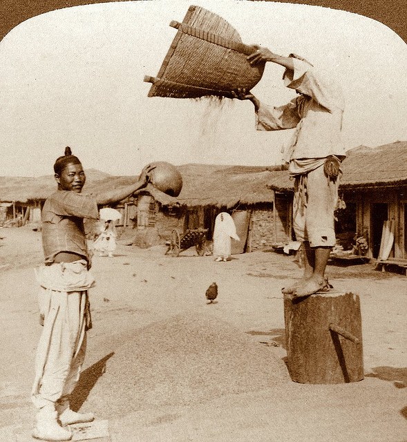 Hai người đàn ông đang sàng lọc ngũ cốc trên con đường ở Incheon