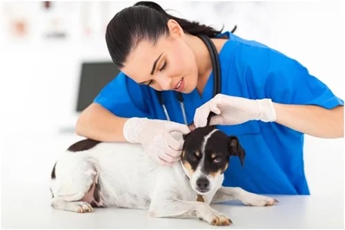 10 nghề nguy hiểm nhất cho sức khỏe: Ngạc nhiên khi có tiếp viên hàng không 10 nghề nguy hiểm nhất cho sức khỏe: Ngạc nhiên khi có tiếp viên hàng không