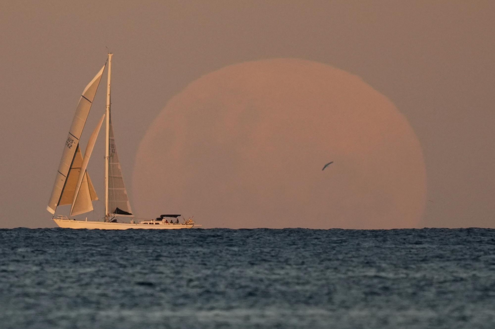 Một chiếc du thuyền lướt qua khi mặt trăng mọc ở Sydney ngày 26/5/2021. Chiều tối hôm đó, hiện tượng nguyệt thực toàn phần và Siêu trăng máu đẹp nhất trong năm đã diễn ra. Ảnh: AP