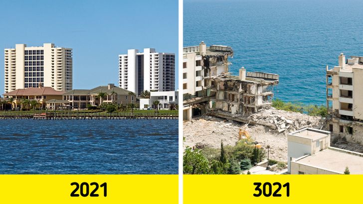 Nếu loài người ngủ 1.000 năm, thế giới sẽ do ai thống trị? - Ảnh 2 Nếu loài người ngủ 1.000 năm, thế giới sẽ do ai thống trị? - Ảnh 2