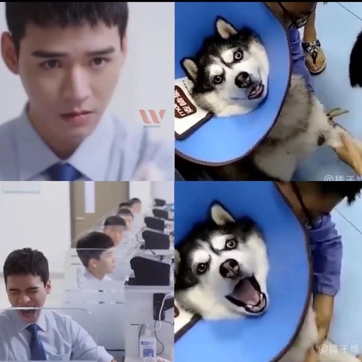 Cung Tuấn đi tiêm duyên hết phần thiên hạ, dân tình réo tên một nhân vật bất ngờ 1 Cung Tuấn đi tiêm duyên hết phần thiên hạ, dân tình réo tên một nhân vật bất ngờ 1