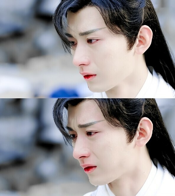 Nhân vật Tư Phượng của Thành Nghị trong Lưu Ly Mỹ Nhân Sát đã giúp anh khẳng định được diễn xuất và tên tuổi. Có khán giả nhận xét Thành Nghị diễn cảnh khóc rất đẹp, đôi mắt của anh ấy biết dẫn dắt cảm xúc người xem. Đúng như vậy, anh là một trong những nam diễn viên được khen ngợi rất nhiều khi diễn cảnh khóc.