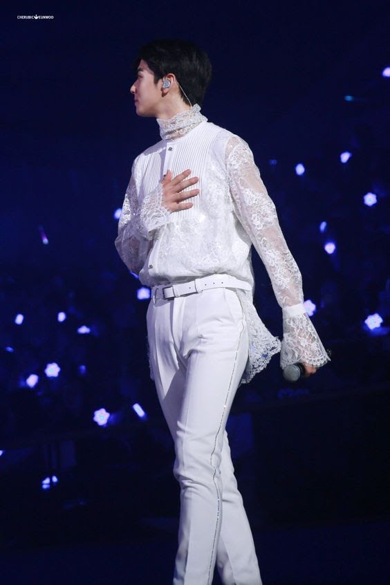 Giống bạch mã hoàng tử trong các câu chuyện cổ tích phương Tây, vô cùng đáng yêu.