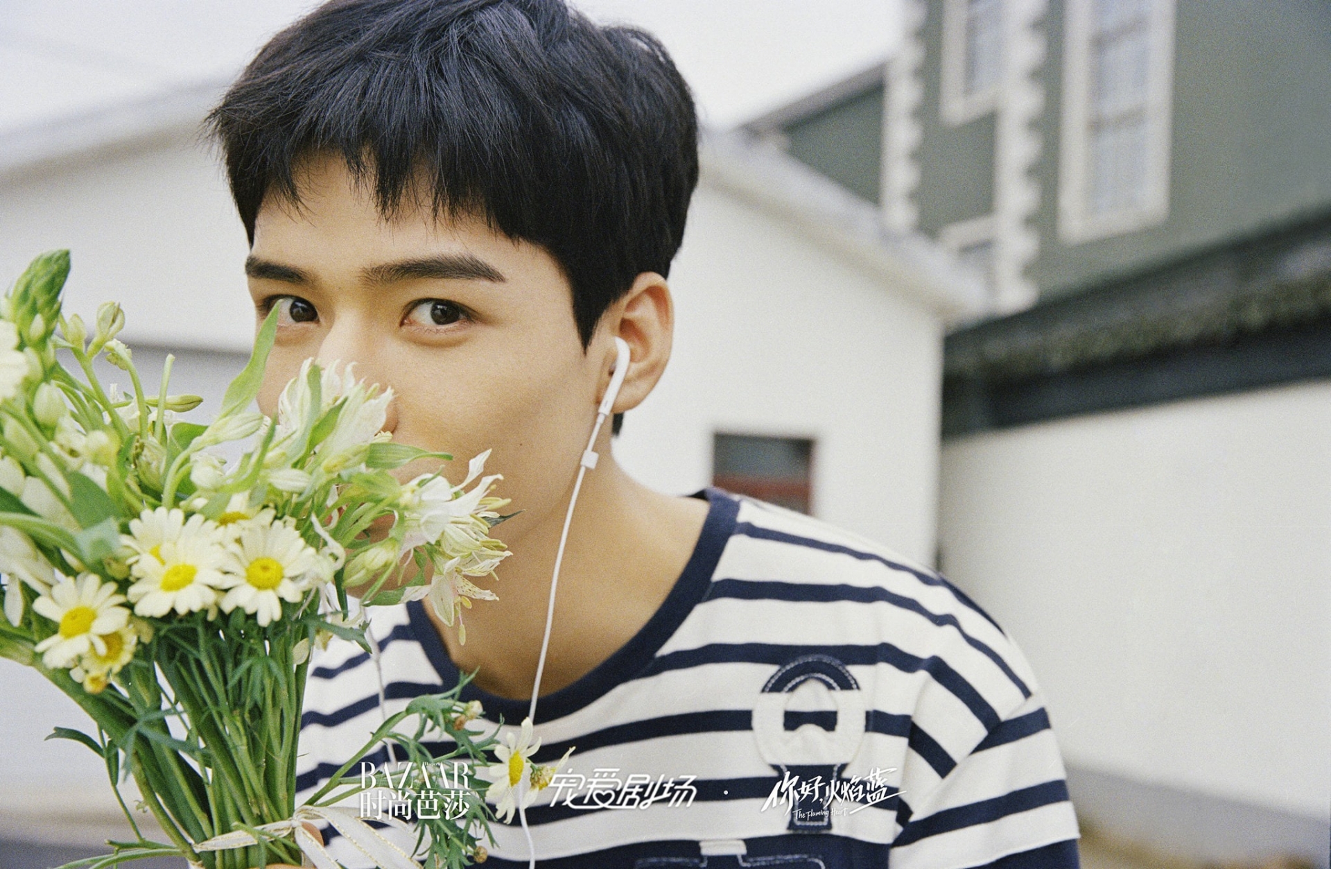 Cung Tuấn bên bó cúc này đẹp trong trẻo như mùa thu vậy.