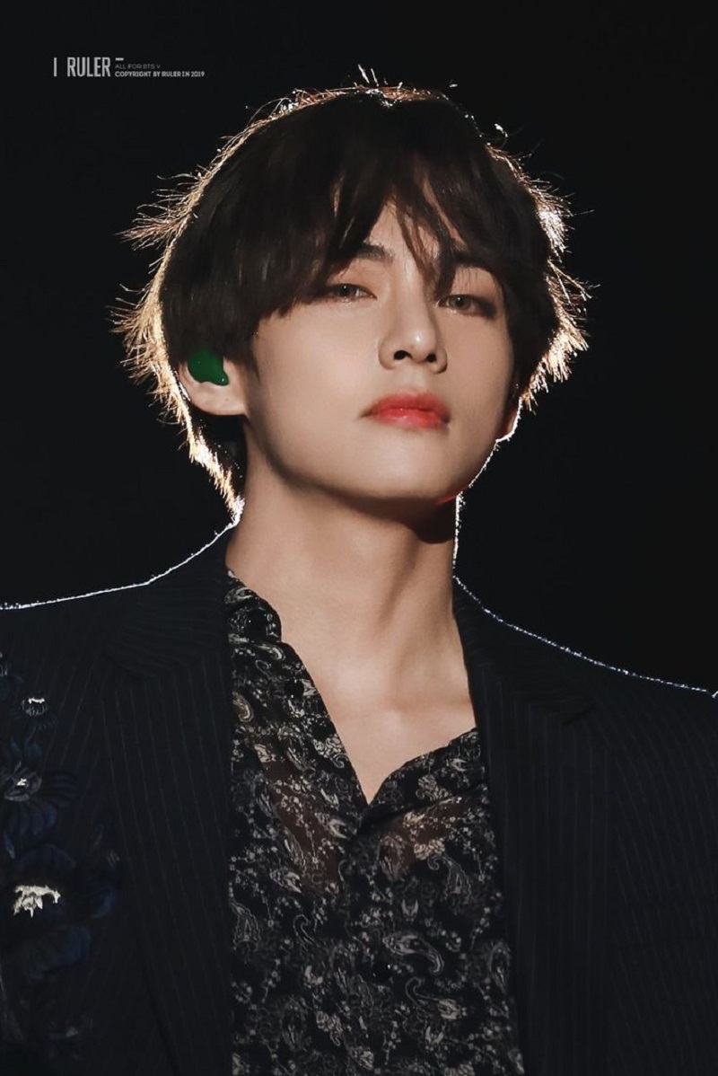 17. V (BTS)