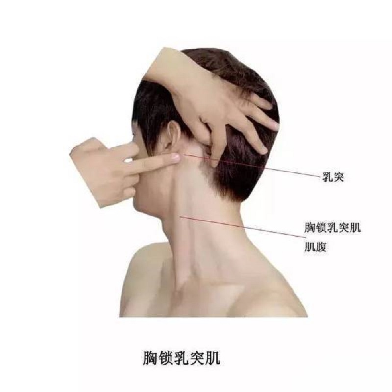 Cúc Tịnh Y hói trắng phớ trong Gia Nam Truyện 4 Cúc Tịnh Y hói trắng phớ trong Gia Nam Truyện 4