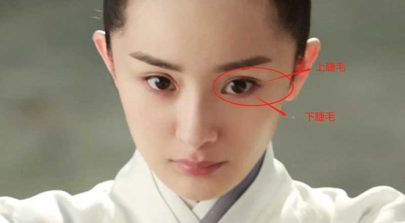 Hàng lông mi của Dương Mịch khi cải nam trang trong Tam Sinh Tam Thế Thập Lý Đào Hoa cũng rất dày, nhưng trông vẫn còn tự nhiên hơn nhiều so với Hộc Châu Phu Nhân.