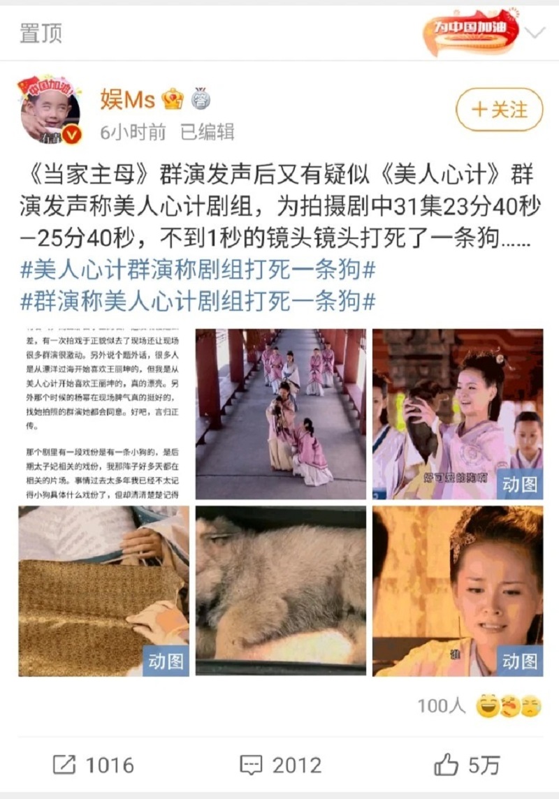 Những lần Vu Chính hóa 'đồ tể động vật' khiến netizen dậy sóng 3