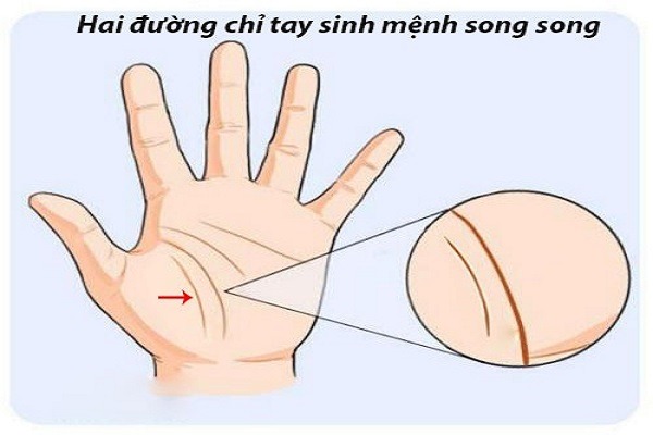 Người có 4 đặc điểm này định sẵn tha hương, quanh quẩn ở nhà cả đời không 'ngóc' lên được 3 Người có 4 đặc điểm này định sẵn tha hương, quanh quẩn ở nhà cả đời không 'ngóc' lên được 3